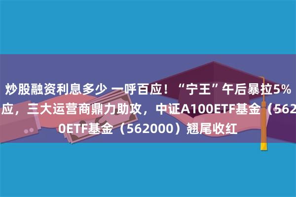 炒股融资利息多少 一呼百应！“宁王”午后暴拉5%，大权重集体响应，三大运营商鼎力助攻，中证A100ETF基金（562000）翘尾收红