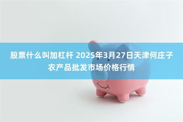 股票什么叫加杠杆 2025年3月27日天津何庄子农产品批发市场价格行情