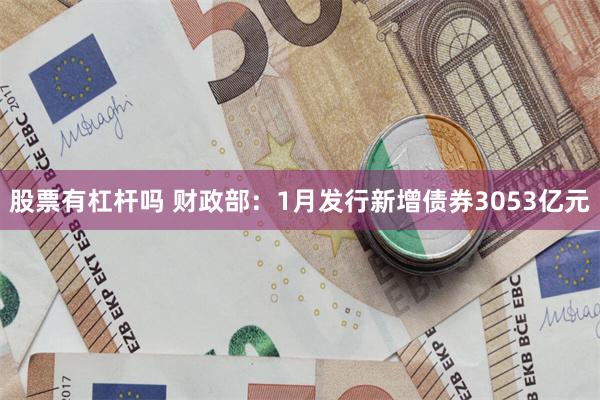 股票有杠杆吗 财政部：1月发行新增债券3053亿元
