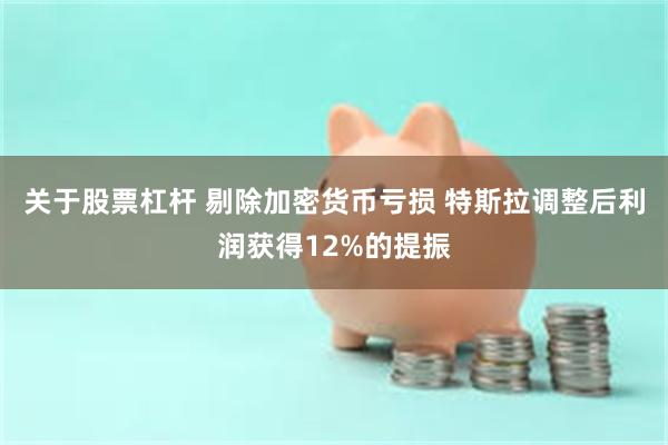 关于股票杠杆 剔除加密货币亏损 特斯拉调整后利润获得12%的提振