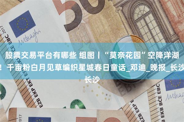 股票交易平台有哪些 组图丨“莫奈花园”空降洋湖！千亩粉白月见草编织星城春日童话_邓迪_晚报_长沙