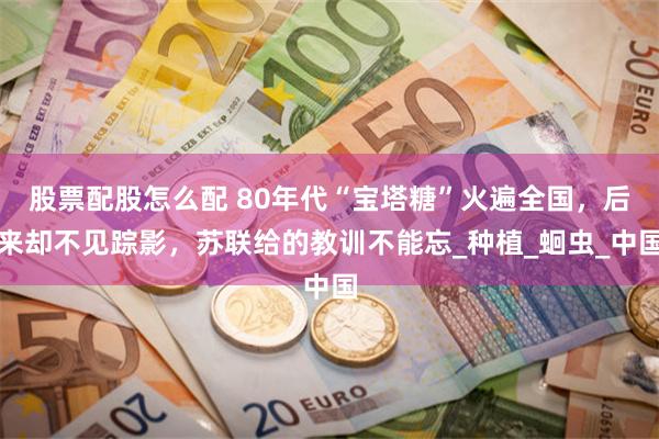 股票配股怎么配 80年代“宝塔糖”火遍全国，后来却不见踪影，苏联给的教训不能忘_种植_蛔虫_中国