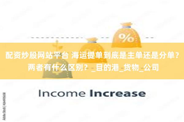 配资炒股网站平台 海运提单到底是主单还是分单？ 两者有什么区别？_目的港_货物_公司