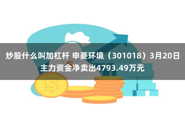 炒股什么叫加杠杆 申菱环境（301018）3月20日主力资金净卖出4793.49万元