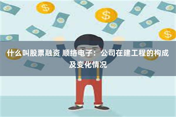 什么叫股票融资 顺络电子：公司在建工程的构成及变化情况