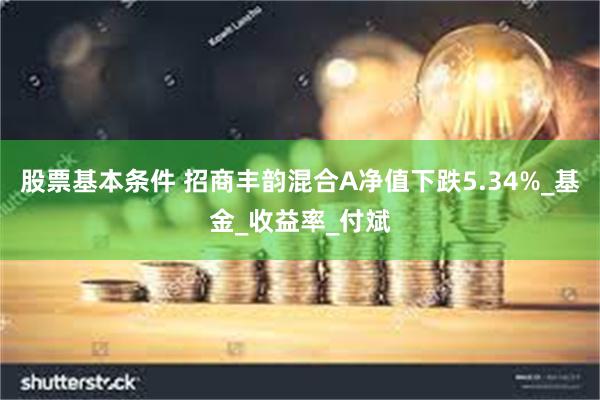 股票基本条件 招商丰韵混合A净值下跌5.34%_基金_收益率_付斌