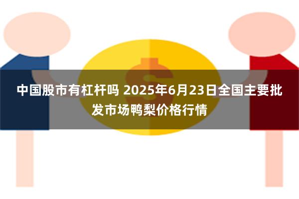 中国股市有杠杆吗 2025年6月23日全国主要批发市场鸭梨价格行情