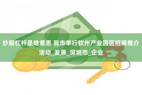 炒股杠杆是啥意思 我市举行钦州产业园区招商推介活动_发展_深圳市_企业