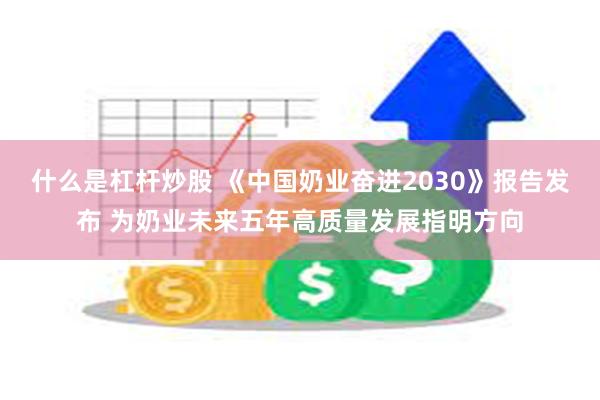 什么是杠杆炒股 《中国奶业奋进2030》报告发布 为奶业未来五年高质量发展指明方向