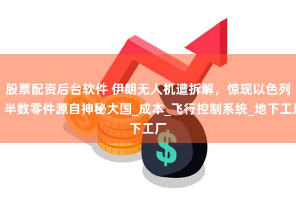 股票配资后台软件 伊朗无人机遭拆解，惊现以色列：半数零件源自神秘大国_成本_飞行控制系统_地下工厂