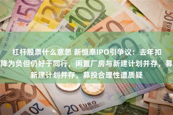 杠杆股票什么意思 新恒泰IPO引争议：去年扣非净利润增速骤降为负但仍好于同行，闲置厂房与新建计划并存，募投合理性遭质疑