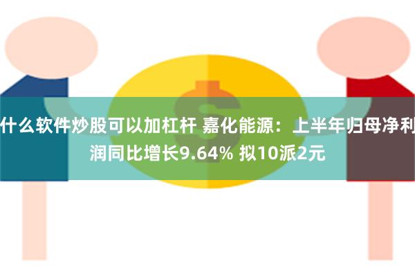 什么软件炒股可以加杠杆 嘉化能源：上半年归母净利润同比增长9.64% 拟10派2元