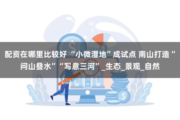 配资在哪里比较好 “小微湿地”成试点 南山打造“问山叠水”“写意三河”_生态_景观_自然