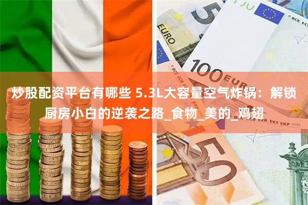 炒股配资平台有哪些 5.3L大容量空气炸锅：解锁厨房小白的逆袭之路_食物_美的_鸡翅