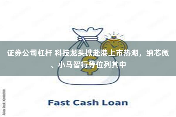 证券公司杠杆 科技龙头掀赴港上市热潮，纳芯微、小马智行等位列其中